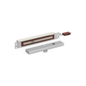 ME300EW0 Mini inbouw elektromagneet 300 kg 12/24VDC