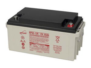 Enersys NP65-12