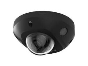 HIK DS-2CD2543G2-IS(2.8mm)(Black)