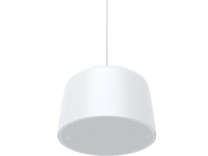 AXIS C1510 NETWORK PENDANT SPEAKER