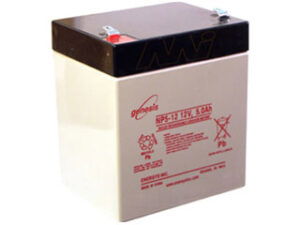 Enersys NP5-12