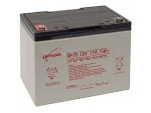 Enersys NP75-12