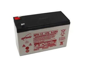 Enersys NP9-12
