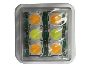 BANDIT FLASH 903 12V