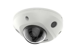 DS-2CD2543G2-IS(2.8mm)