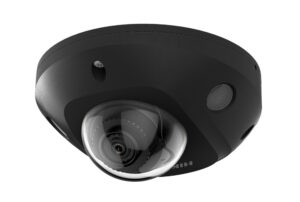 DS-2CD2546G2-IS(2.8mm)(C)(Black)